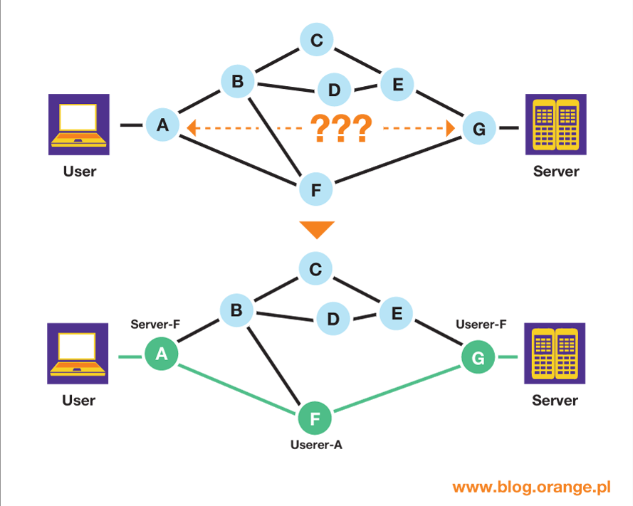 Komunikacja serwer-klient w sieci IP network 