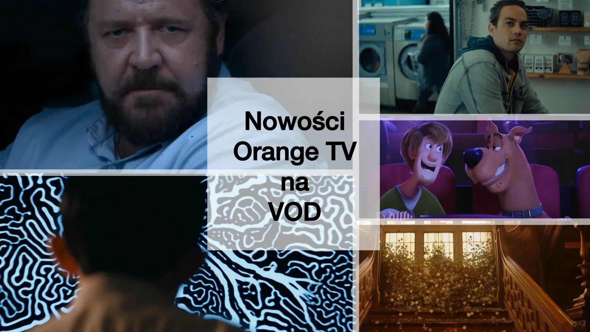 Listopadowe nowości w Orange VOD