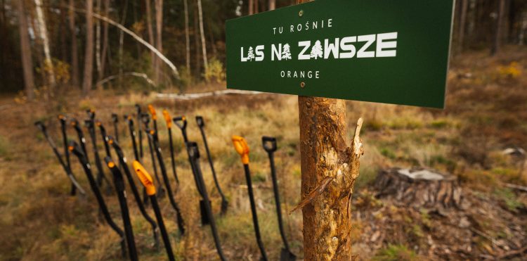 Posadziliśmy las w Szostakach