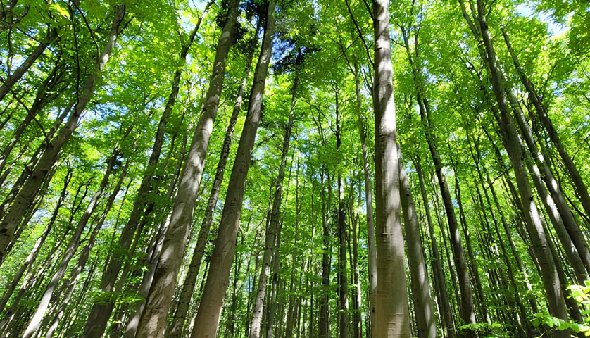 Ziemianie atakują, czyli uczymy się żyć ze zmianą klimatu